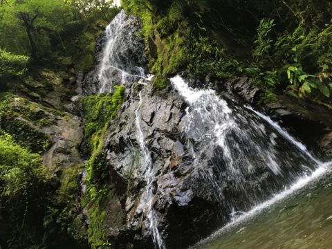 Waterfall hike in Amami Ōshima.