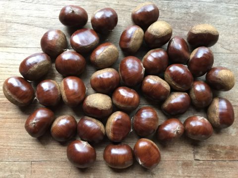 Chestnuts, nuts of fansasy.